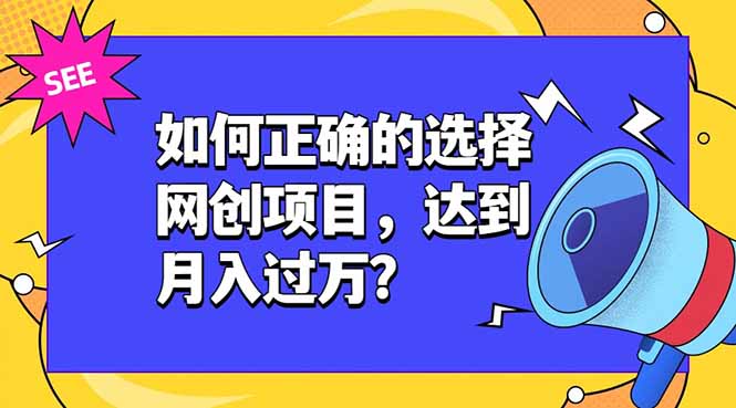 如何正确的选择网创项目，达到月入过万？，本课程教你正确选择项目。-hcnxn