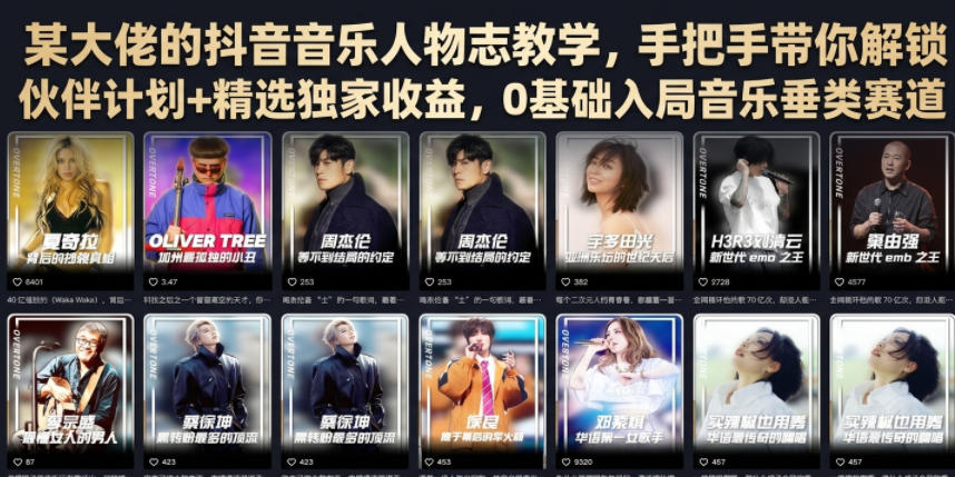 某大佬的抖音音乐人物志教学，手把手带你解锁伙伴计划+精选独家收益，0基础入局音乐垂类赛道-hcnxn
