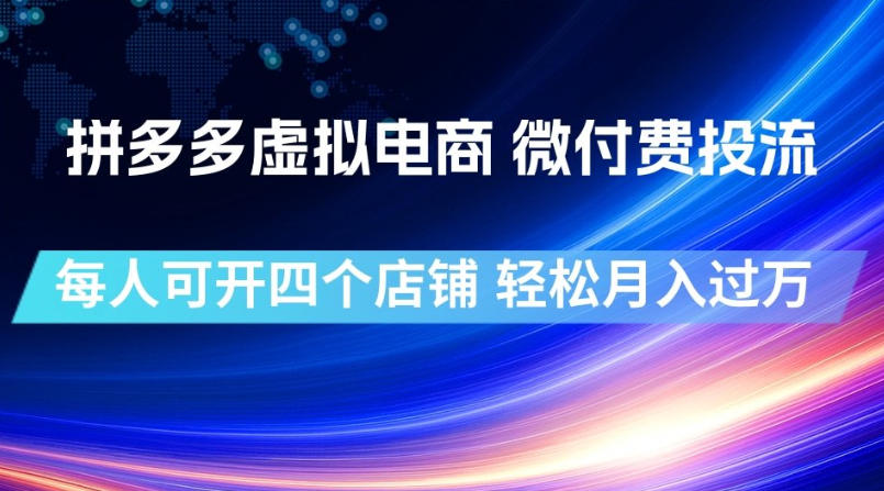 拼多多虚拟电商，微付费投流玩法，每人可开四个店，轻松月入过1W【揭秘】-hcnxn