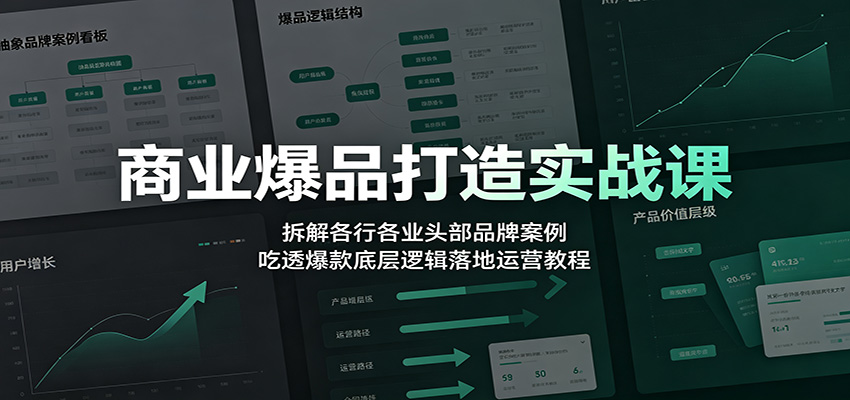 商业爆品打造实战课：拆解各行各业头部品牌案例，吃透爆款底层逻辑落地运营教程-hcnxn