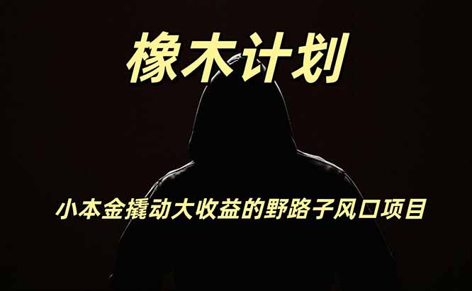 橡木计划，小投入撬动高回报的风口野路子项目，一天投入2小时左右-hcnxn