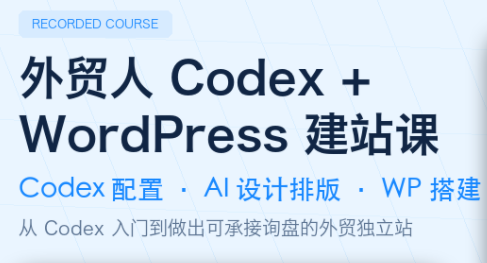 大卫·外贸人Codex + WordPress建站课(更新8月)-hcnxn