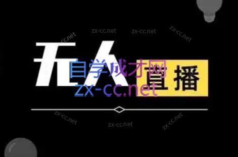 宝子哥·无人直播-非实时防风技术(更新8月)-hcnxn