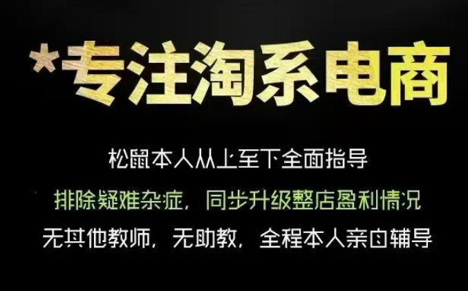 松鼠会电商VIP课程，从基础布局到高阶优化，助你掌握淘宝运营逻辑，提升店铺流量与转化(更新0815)-hcnxn